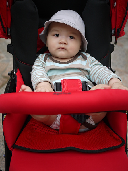 P1050106.JPG P1050106.JPG