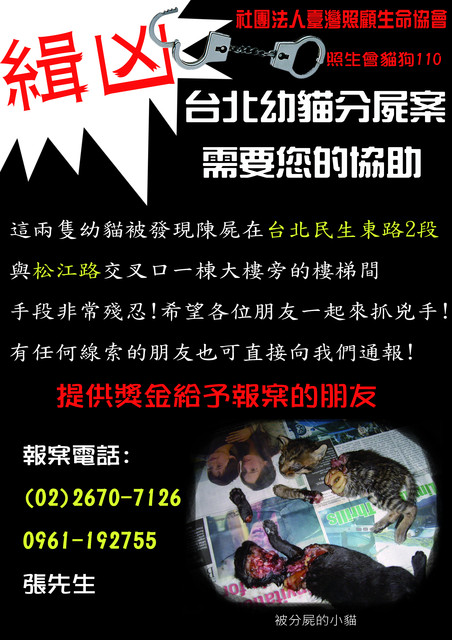 虐猫緝凶海報 虐猫緝凶海報