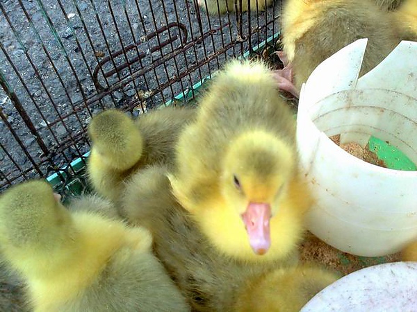 相片0583.jpg 相片0583.jpg