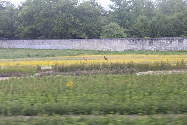 照片 063.jpg 照片 063.jpg