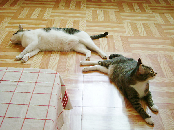 The wonderful times!