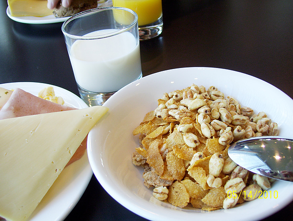 100_3307.jpg 100_3307.jpg