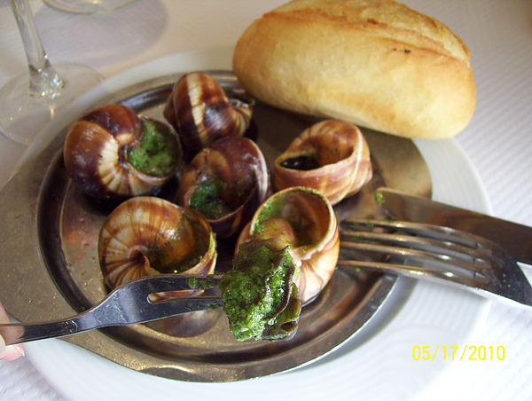 100_3816.jpg 100_3816.jpg