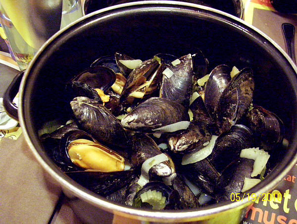 100_4085.jpg 100_4085.jpg