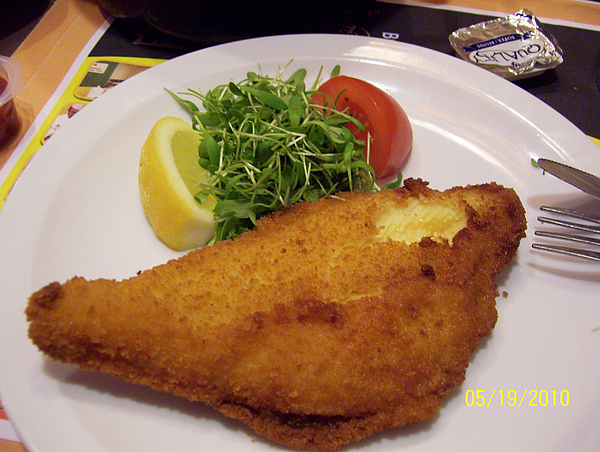 100_4087.jpg 100_4087.jpg