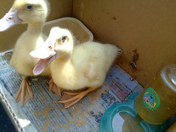 相片0630.jpg 相片0630.jpg