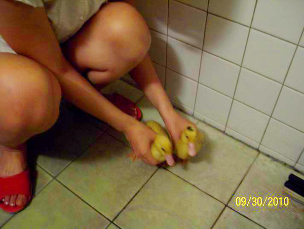 養鴨人家生活初體驗!!!!!!