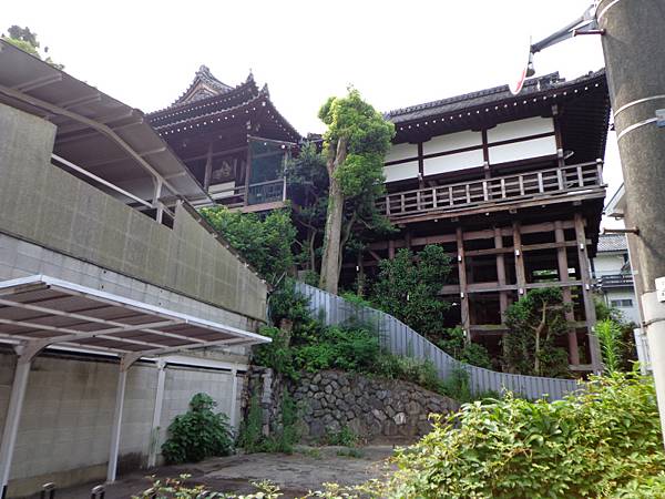 DSC02715.jpg DSC02715.jpg