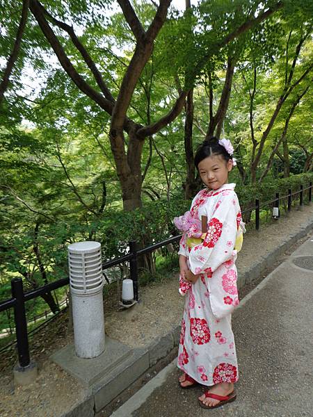 DSC02831.jpg DSC02831.jpg