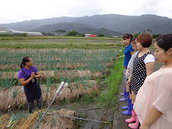 DSC03343.jpg DSC03343.jpg