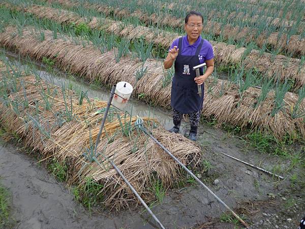 DSC03347.jpg DSC03347.jpg