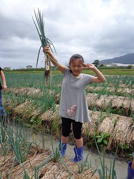 DSC03354.jpg DSC03354.jpg