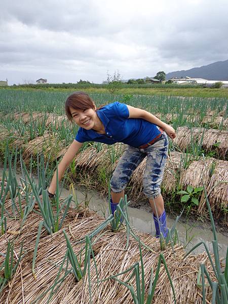 DSC03355.jpg DSC03355.jpg