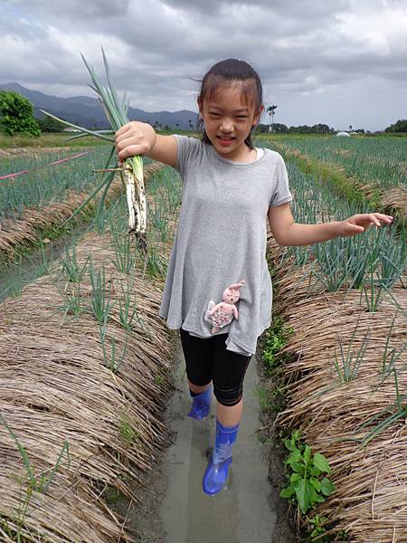 DSC03367.jpg DSC03367.jpg