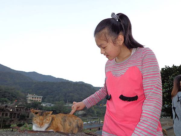 DSC03505.jpg DSC03505.jpg