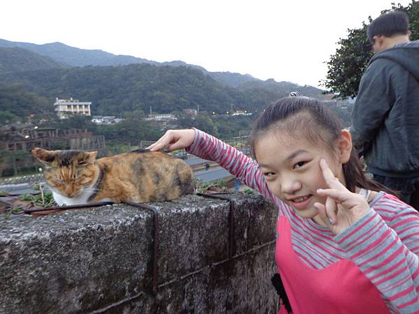 DSC03506.jpg DSC03506.jpg