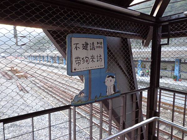 DSC03491.jpg DSC03491.jpg