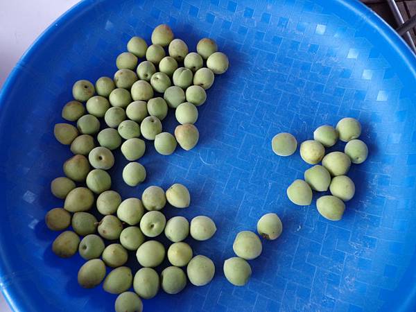 DSC03773.jpg DSC03773.jpg