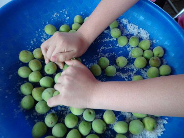 DSC03789.jpg DSC03789.jpg