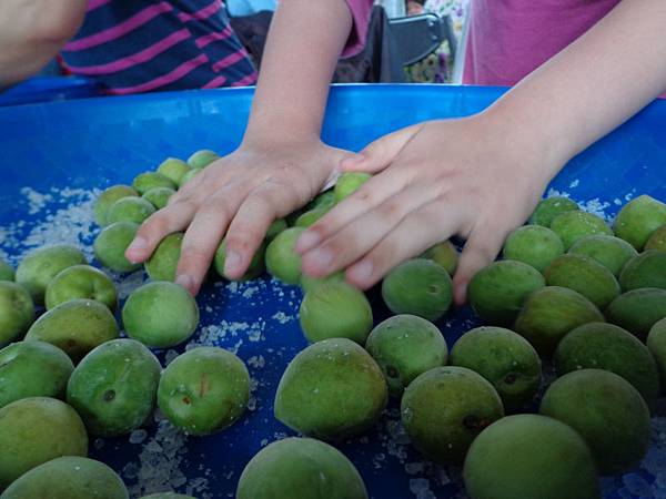 DSC03796.jpg DSC03796.jpg