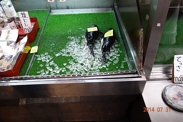 DSC00481.jpg DSC00481.jpg