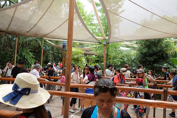 DSC00598.jpg DSC00598.jpg