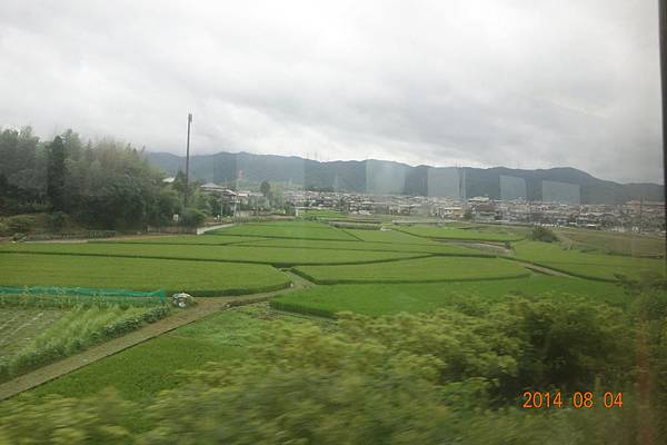 DSC01108.jpg DSC01108.jpg