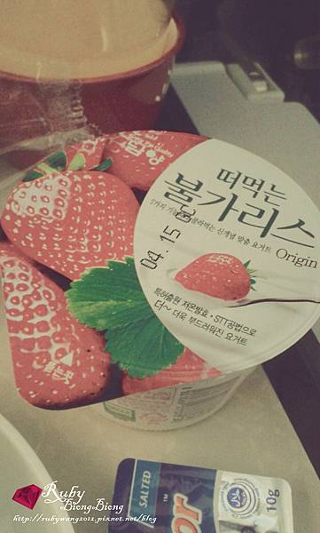 飛機參YOGURT.jpg