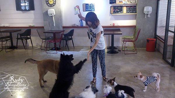 0701_petcafe-1.jpg 0701_petcafe-1.jpg