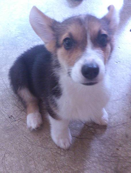 DSC_1415.JPG DSC_1415.JPG