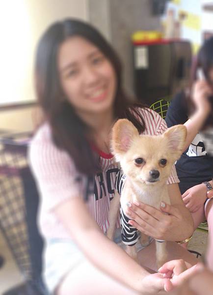 DSC_1416.JPG DSC_1416.JPG