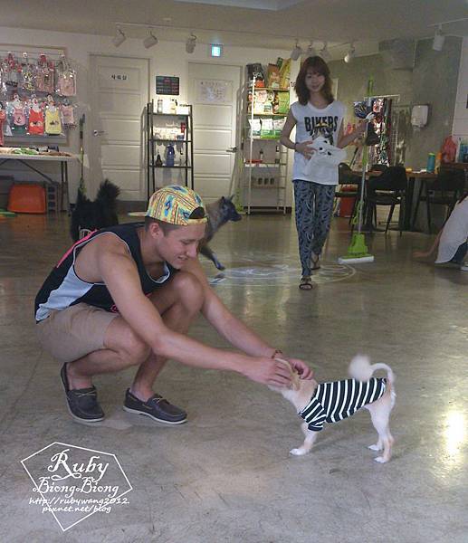 0701_petcafe-5.jpg 0701_petcafe-5.jpg