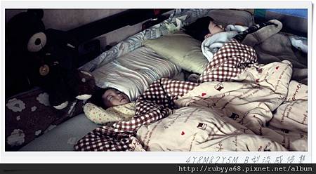 2月。B型流感 2月。B型流感