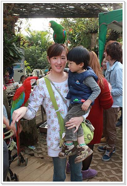 3月。台中天馬牧場