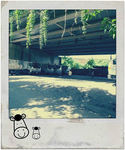 8月。生活 8月。生活