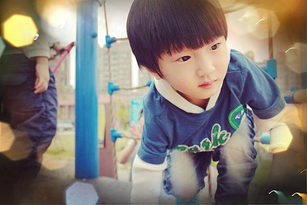 11月。公園 11月。公園