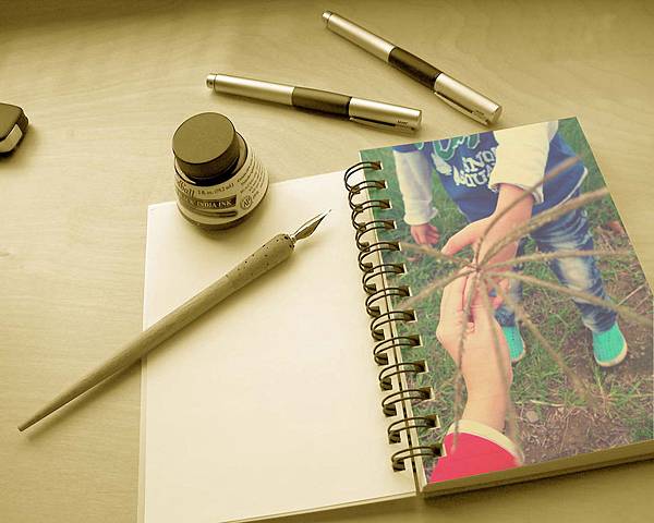 11月。公園 11月。公園