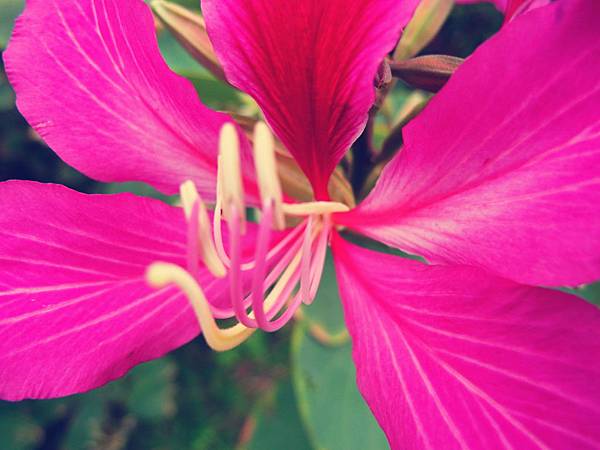 11月。公園 11月。公園