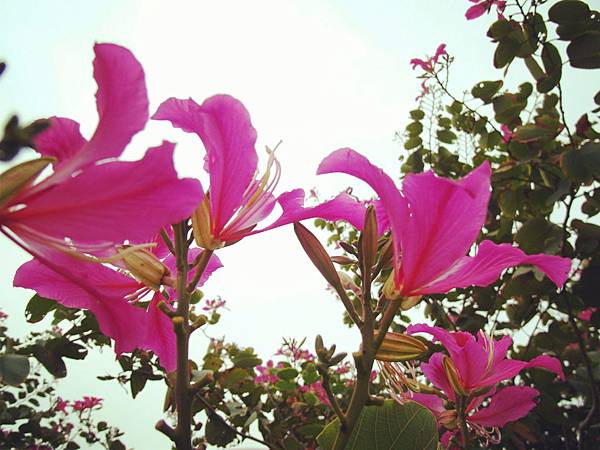 11月。公園 11月。公園