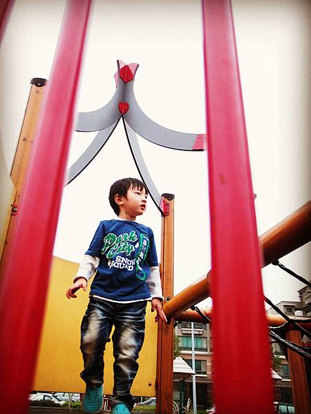 11月。公園 11月。公園