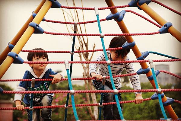 11月。公園 11月。公園