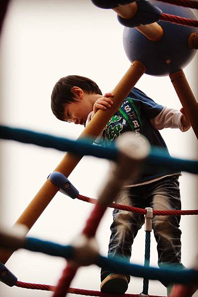 11月。公園 11月。公園