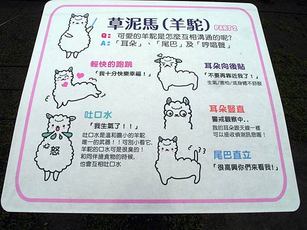 SAM_7000.JPG SAM_7000.JPG