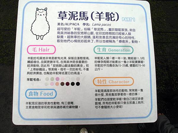 SAM_7002.JPG SAM_7002.JPG