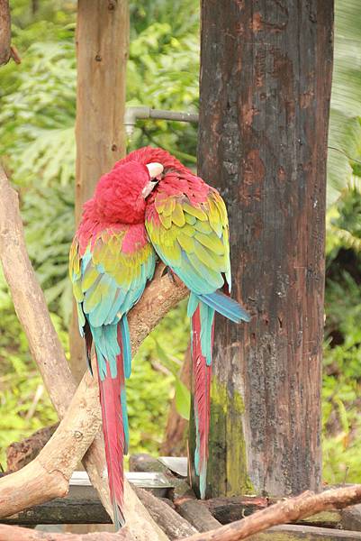 IMG_3854.JPG IMG_3854.JPG