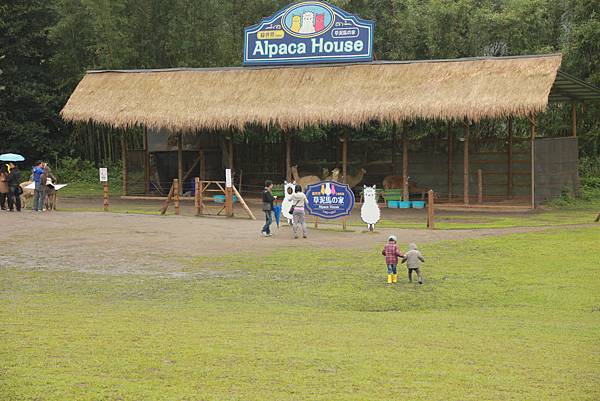 IMG_3870.JPG IMG_3870.JPG