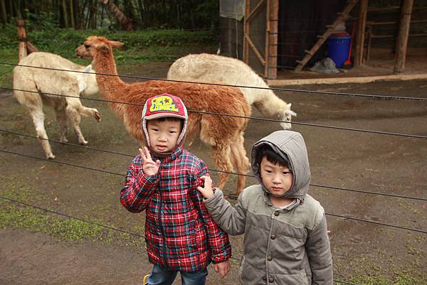 IMG_3890.JPG IMG_3890.JPG