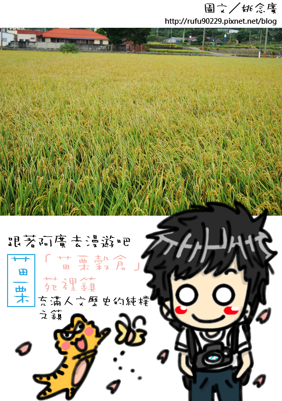 「苗栗穀倉」苑裡鎮_1