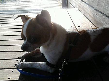 1291354_720447257972417_273745913_n 1291354_720447257972417_273745913_n