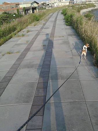 1278329_720446731305803_1951413386_n 1278329_720446731305803_1951413386_n